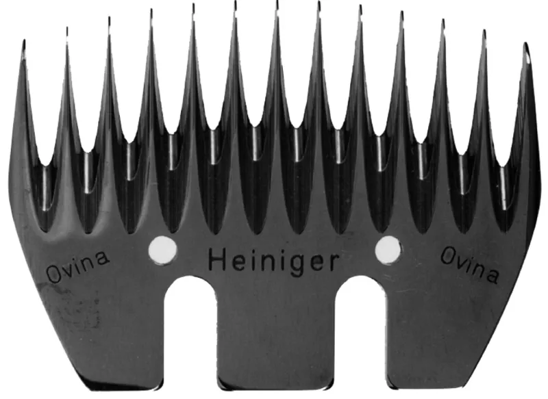 Ovina 3 - Bild 2