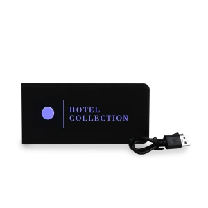 Portable USB Charger