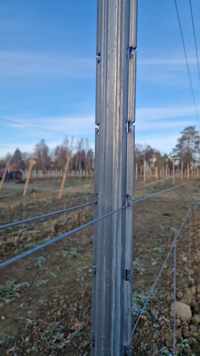 Stålstolpe | U-formad för vingårdar | 240 cm x 150 mm - Bild 5