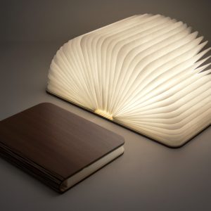 Mood Book Lamp